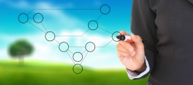 Domain Management